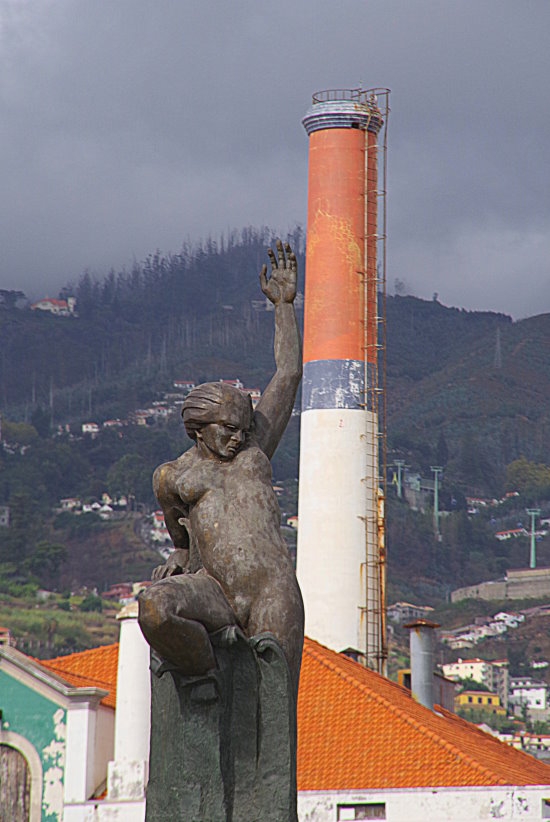 voyage,madere,funchal