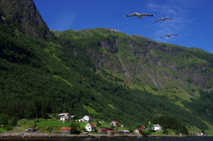voyage, norvege, aurlandsfjord